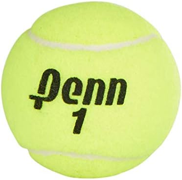 Extra Duty Felt Pressurized Tennis Balls